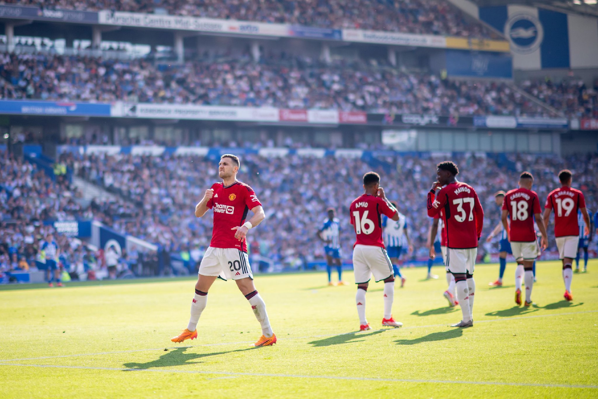 机会将他纳 机会将他纳